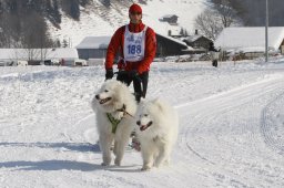 Lenk 2012 SM